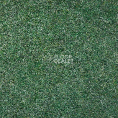 Ковролин Tapisom 900 Green - 900 419002009 00017 фото 1 | FLOORDEALER